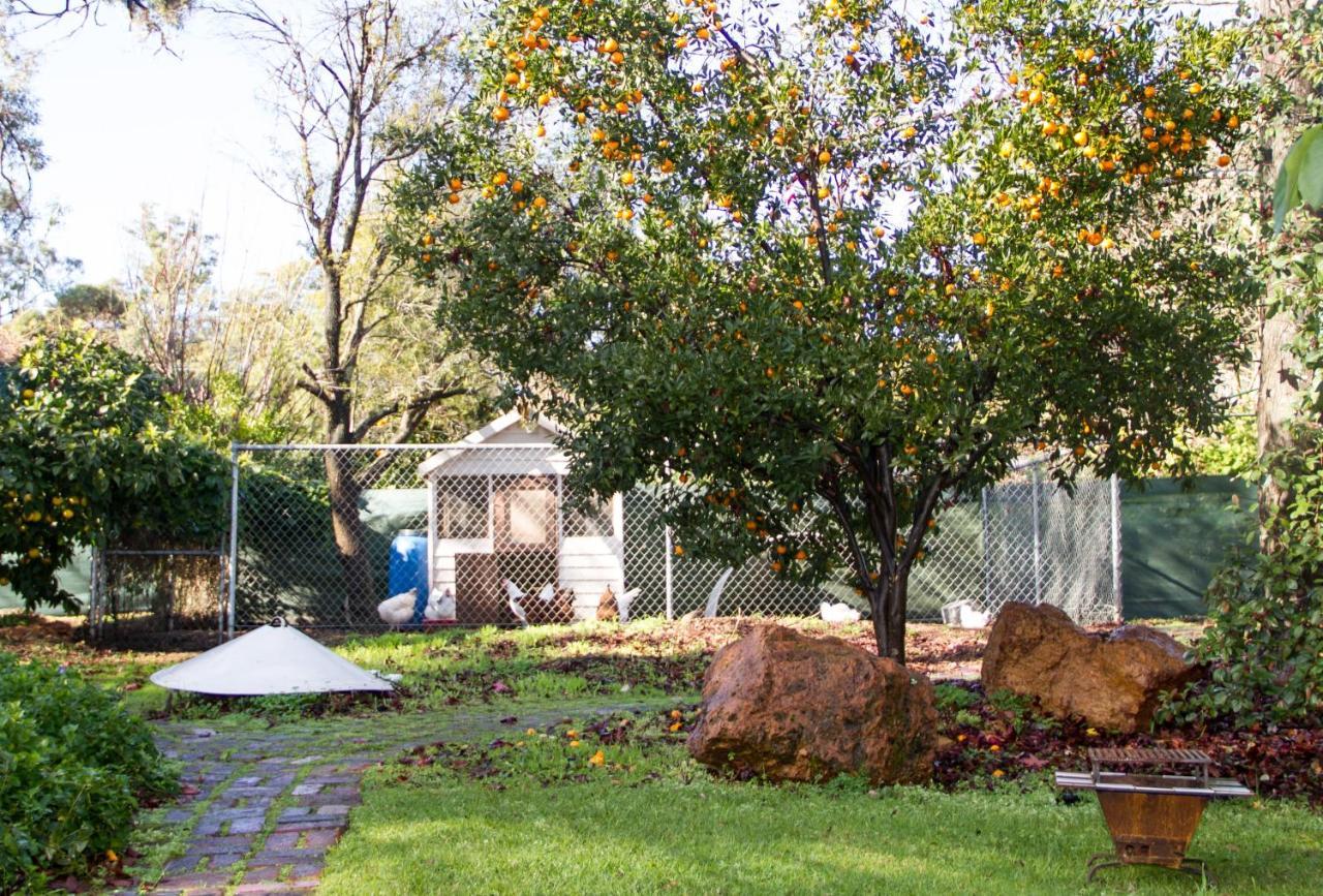 Farview Guest Accommodation Pickering Brook Εξωτερικό φωτογραφία